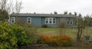 19138 Guava St SW Rochester, WA 98579 - Image 3347726
