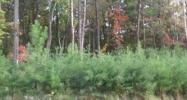 5031 Hermitage Ct (Apn# 203955) Belmont, NC 28012 - Image 3432611
