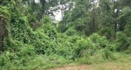 Bluebonnet Ter Inverness, FL 34452 - Image 3440260