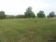 S 57Th Street Papillion, NE 68133 - Image 3525540