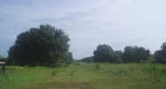 19119 GERACI RD Lutz, FL 33558 - Image 3527829