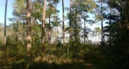 Lot 3 Beach Rd Theodore, AL 36582 - Image 3617295