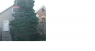 3423 South Lituanica Avenue Chicago, IL 60608 - Image 3622353