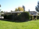 2041 Dalis Dr Concord, CA 94520 - Image 3624055