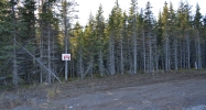 LI13 Salty Circle Kenai, AK 99611 - Image 3624770