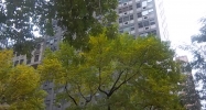 253 E Delaware Pl Uni Chicago, IL 60611 - Image 3641582