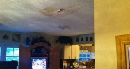 12271 SW 10 TE # 12271 Miami, FL 33184 - Image 3642179