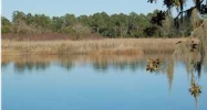 1 MATEEBA GARDENS RD. Summerville, SC 29483 - Image 3653324