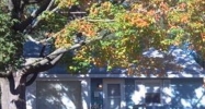 4625 Pinehurst Grand Rapids, MI 49548 - Image 3677159