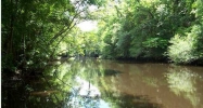 0 BOBS LAKE RD Summerville, SC 29483 - Image 3677240