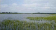 0 EGRET LN Charleston, SC 29414 - Image 3682267