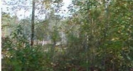 15 KNIGHT DR Summerville, SC 29483 - Image 3710697