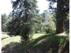 21861 Bone Cedarpines Park, CA 92322 - Image 3735386