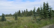 35100 Driftnetter Street Kenai, AK 99611 - Image 3742651