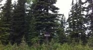 1114 Channel Way Kenai, AK 99611 - Image 3742654