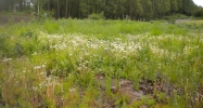 51101 Crestview Ave Kenai, AK 99611 - Image 3742661