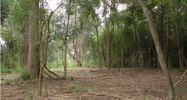 3 MATEEBA GARDENS RD Summerville, SC 29483 - Image 3749596