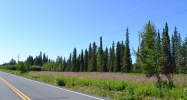 L2-4 Crooked Creek Road Kasilof, AK 99610 - Image 3774417