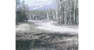 Mile 27 McCarthy Highway L6 B2 Chitina, AK 99566 - Image 3776841