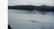 300 Daniel's Lake Road Nikiski, AK 99635 - Image 3778982