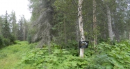 000 Teal Avenue Nikiski, AK 99635 - Image 3779599