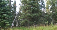 L8-9 N Spur Highway Mi 15 Kenai, AK 99611 - Image 3779844