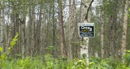 51651 Chickadee Street Kenai, AK 99611 - Image 3779845