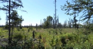 Gl 1 Tall Tree Avenue Anchor Point, AK 99556 - Image 3780033