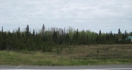 63850 Sterling Highway Clam Gulch, AK 99568 - Image 3788750