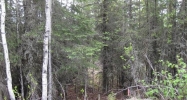 18170 Loveall Loop Clam Gulch, AK 99568 - Image 3788751