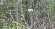 18264 Loveall Loop Clam Gulch, AK 99568 - Image 3788745