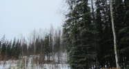 38063 Lakewood Road Soldotna, AK 99669 - Image 3803200