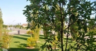 413 Forest Park Boulevard #11 Oxnard, CA 93036 - Image 3805190