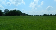 Hwy 64 Lamar, AR 72846 - Image 3808789