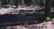 1400 Fern Drive Nevada City, CA 95959 - Image 3811311