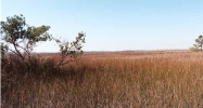 7727 WHITE POINT RD Hollywood, SC 29449 - Image 3812328