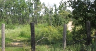 40 acres N GR 715 Paragould, AR 72450 - Image 3841063