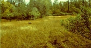 63 Providence Way Oregon House, CA 95962 - Image 3848844