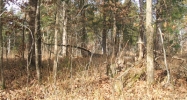 25/13 Cielo 10 Carpintero Lane Hot Springs Village, AR 71909 - Image 3860601