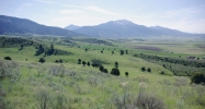 TRAUGHBER RD. Swan Valley, ID 83449 - Image 3861255