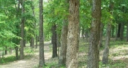 Mundell Road 3.5 Acres Eureka Springs, AR 72631 - Image 3861728