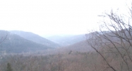 166 Hawk Dr. Eureka Springs, AR 72631 - Image 3862878