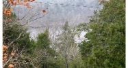 24 White River Ln Eureka Springs, AR 72631 - Image 3862877