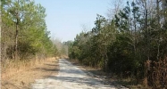 0 LISENBY DR Moncks Corner, SC 29461 - Image 3876174