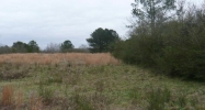2194 County Road 1319 Cullman, AL 35058 - Image 3880514