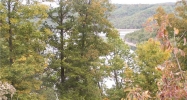 CR 152 Lot 9 La Bonne Vie Eureka Springs, AR 72632 - Image 3891424