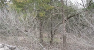 123 Beaver Dr Eureka Springs, AR 72631 - Image 3891581