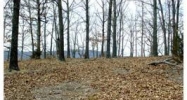 00 Cobblestone Ln Eureka Springs, AR 72632 - Image 3891542