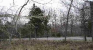 100 Table Rock Dr Eureka Springs, AR 72631 - Image 3891699