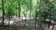 00 NE Ridge Rd Eureka Springs, AR 72631 - Image 3891700